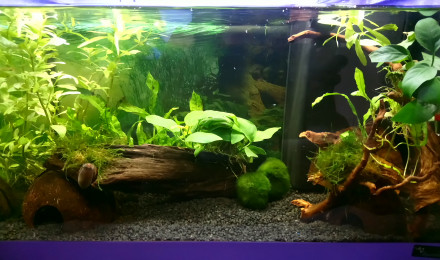 aquarium Aquatlantis