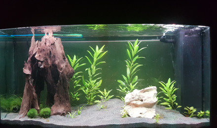 aquarium Aquarium 2