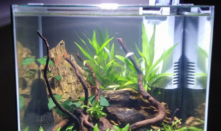 aquarium Nano 30L
