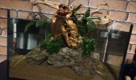 aquarium Maison de Aka