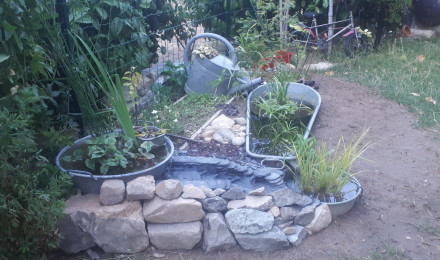 aquarium Bassinarium