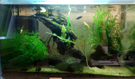 aquarium 30 Litres Labo 2