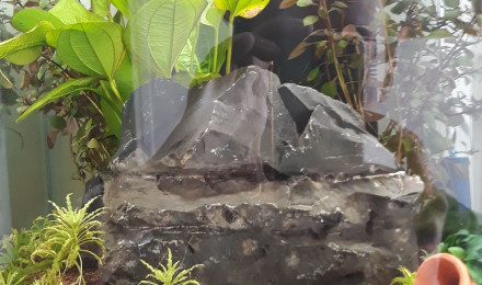 aquarium Le Loft de Maurice