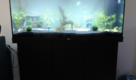 aquarium Bac RIO 180