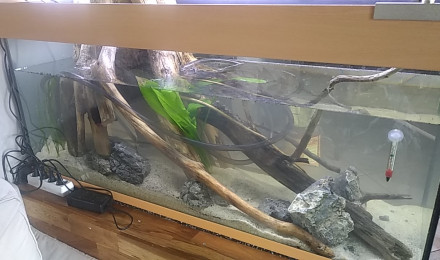 aquarium 240L Work In Progress