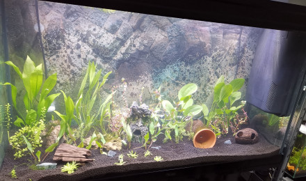 aquarium Communautaire