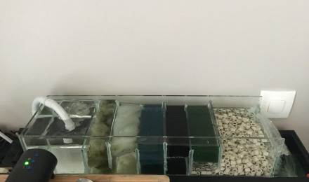 aquarium Décembre 2018