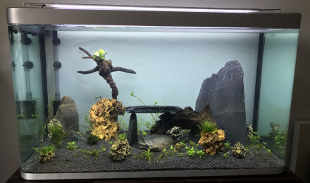aquarium 300L