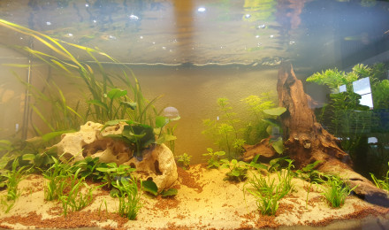 aquarium 180l