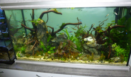 aquarium aquatlantis fusion 100