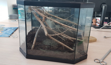 aquarium Bureau commun
