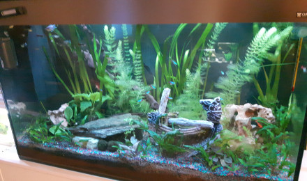 aquarium AquaCiano200