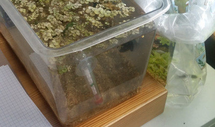 aquarium Bac hopital