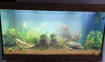 aquarium Juwel Rio 350 Litres