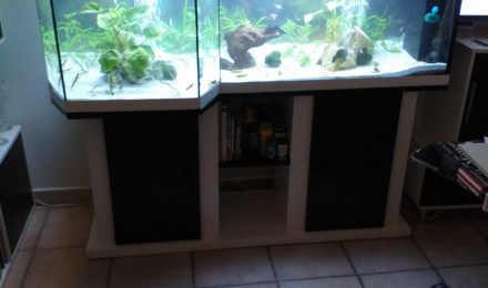 aquarium AQUARIUM 270 LITRES