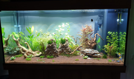 aquarium Juwel Rio 350 Litres