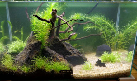 aquarium Bac 20L