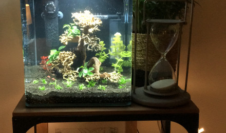 aquarium Dennerle 35L Betta