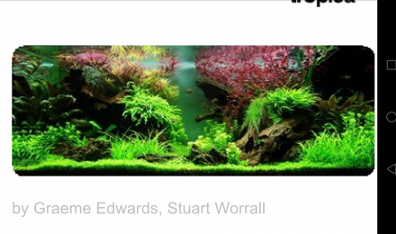 aquarium Nouveau 180 projet aquascape