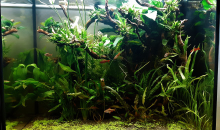 aquarium Juwel Lido200