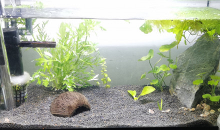 aquarium Bac de secours