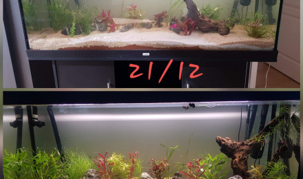 aquarium Aqua2