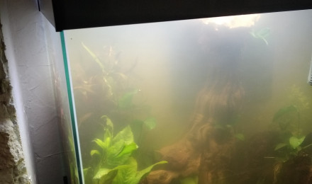aquarium Ciano émotions