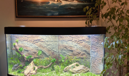 aquarium Vision 260