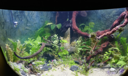 aquarium Trigon 190