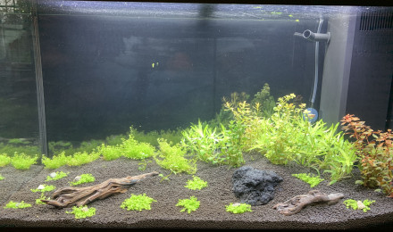 aquarium Juwel Rio 125