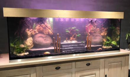 aquarium ciclhidés malawi