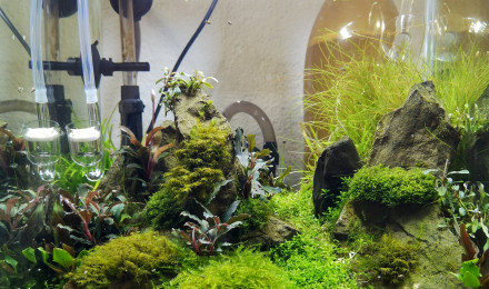 aquarium Nano 20 litres