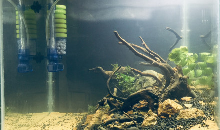 aquarium Na Style 2