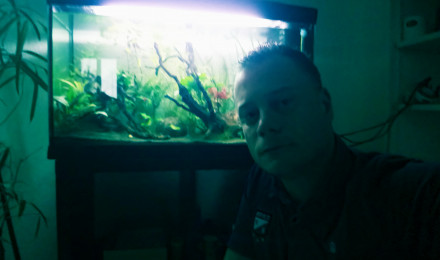 aquarium Petit aquarium
