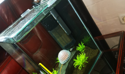 aquarium Nano 1