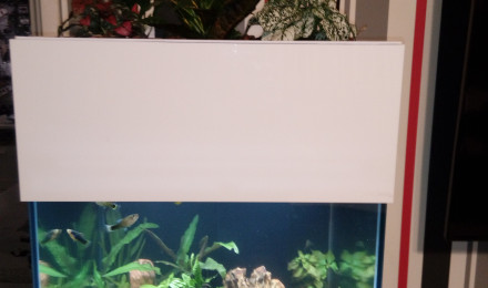 aquarium aquaponie