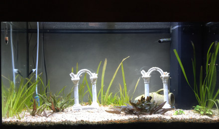 aquarium Rio 125