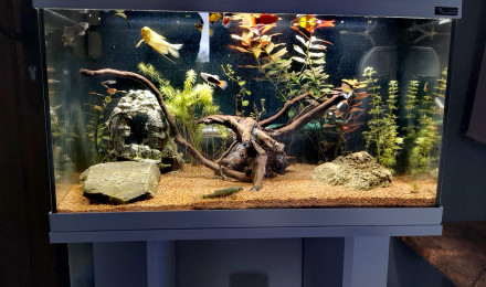 aquarium Aquatlantis 60L