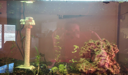 aquarium Bac échange