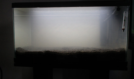 aquarium 60L en cyclage