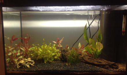 aquarium Aquamaison