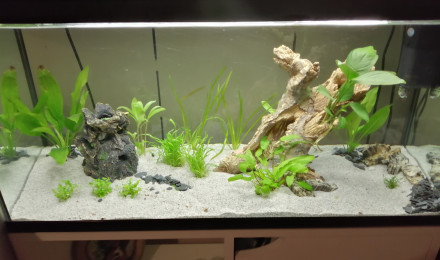 aquarium Premier aquarium0