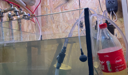 aquarium bac hopital