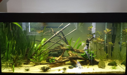 aquarium Juwel réparé après une grosse fuite