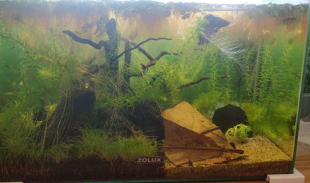 aquarium Bac 20L