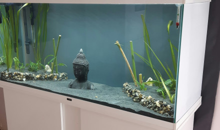 aquarium AquaPoissonRouge