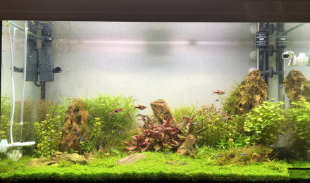 aquarium Aquatlantis 80
