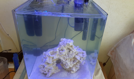 aquarium aquarium marin