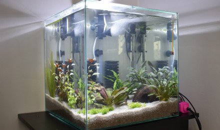 aquarium 54L cubique