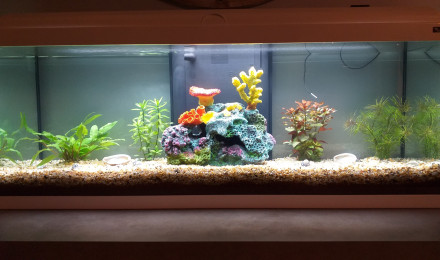 aquarium aquabest